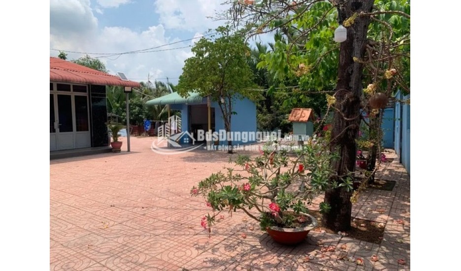 BÁN ĐẤTTRỒNG CÂY LÂU NĂM 300M2 XUNG QUANH ĐẦY ĐỦ TIỆN ÍCH SHR CHÍNH CHỦ KHÔNG TRANH CHẤP